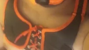 Pup scar’s quick cumshot
