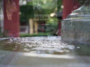 DaniDaniels.com - 60 - Solo 2/16