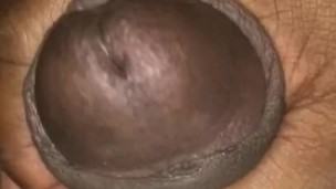 Dick play