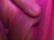 Tasha's fat pussy