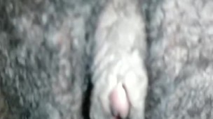 Close up cream pie