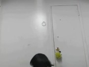 Taki Taki Bbw Cut 8/16