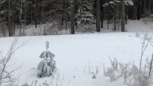 Tgirl Jacks Off Outside in the Snow