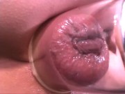 anal pump - Screenshot 7 of 16 - Kink