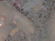 Sucking A Big Mushroom Head BBC - BBC Blowjob/ Throat Fuck 10/16