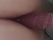 Quick Anal - Screenshot 14 of 16 - Solo Female