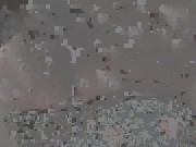 Big ass Bbw like it anywhere 2/16