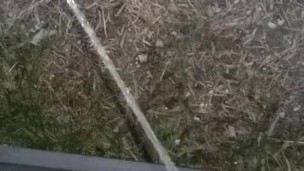 Pissing out my car door