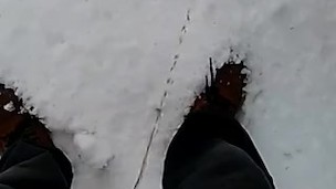 Peeing in the snow