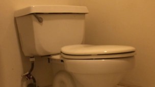 vlog #76 masturbating in a black dress while on a toilet. a bearded woman