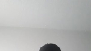 Bbw bounce