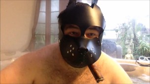 pup TUBBS in the tubb clip