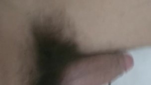 hairy penis