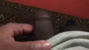 Morning wood, dick
