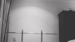 Fitness model