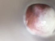 Fleshlight Internal Quickie - Screenshot 14 of 16 - Cumshot