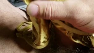 Satin panty wank