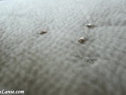 Ms Lanie Love- Giantess Sister Unaware 4/16