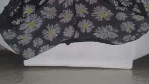 My wifes dirty panties