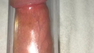 after 10 min penis pump session