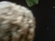 in abandoned house part 3 11/16