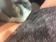 Touching Myself in a Public Lounge