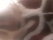 Rachel's Xmas dress-up 6/16