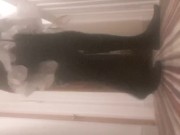 Rachel's Xmas dress-up 8/16