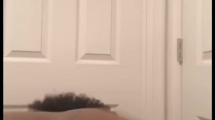 Twerk Comp