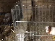 PASCALSSUBSLUTS - Pierced Louise Kay drilled before facial 2/16