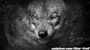 Flint Angel Wolf - Solo Cumshot - onlyfans.com/Flint-Wolf