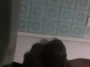 paja rapidita