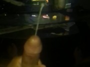 Busted Nut lV - Screenshot 11 of 16 - HD