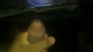 Busted Nut lV
