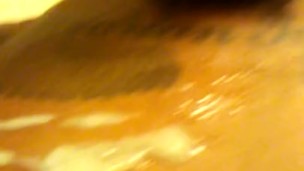Alot of nut