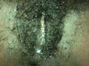 Pussy