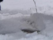 I stopped my car in public parking and i PEE in the SNOW 5/16