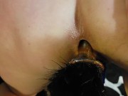 Chatte avec une queue dans l'anus se fait malmenée et cracher au visage