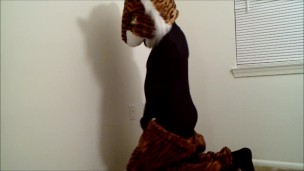 Fursuit Striptease