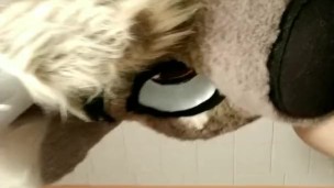 Getting off in a deer partial fursuit.