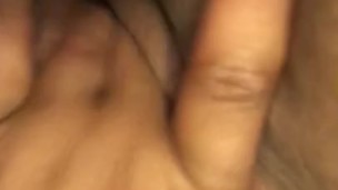 Ebony Squirts, Ruins Bedding