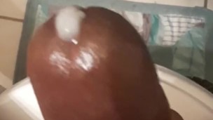 Big Nut Bust
