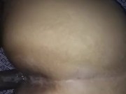 Big Booty Backshots