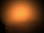 Carlycurvy stripping out of black and white thong and using dildo