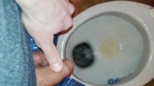 Pissing at home spay can