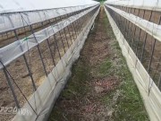 【無】ギリギリハメ撮り パート2 Noa Koizumi 3/16