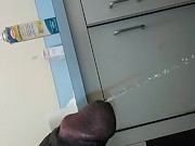 PP at work - Screenshot 10 of 16 - Urine