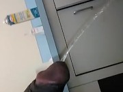 PP at work - Screenshot 7 of 16 - Urine