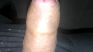 Horny asf