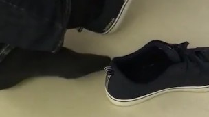 Shoeplay Video 008: Adidas Shoeplay At Work 3